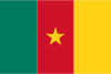 Cameroon N10-008