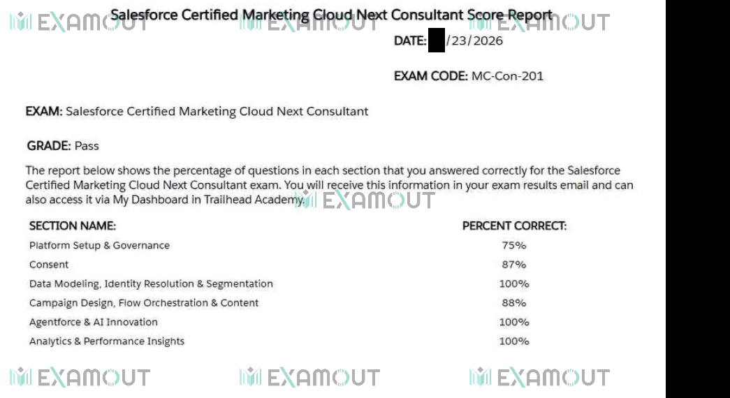 Marketing Cloud Consultant MC-Con-201 passing exam report 2