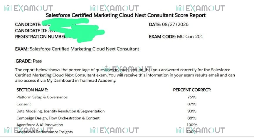 Marketing Cloud Consultant MC-Con-201 passing exam report 1